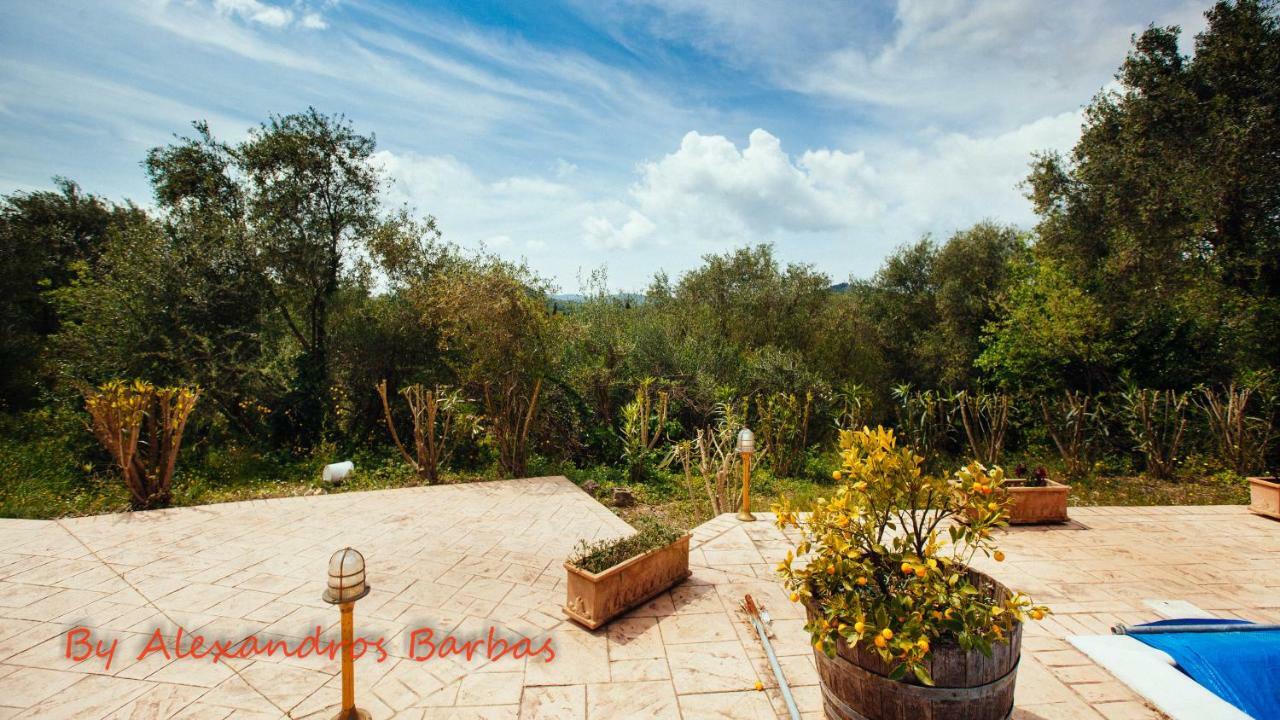 Bourikos House Corfu Apartman Áno Korakiána Kültér fotó