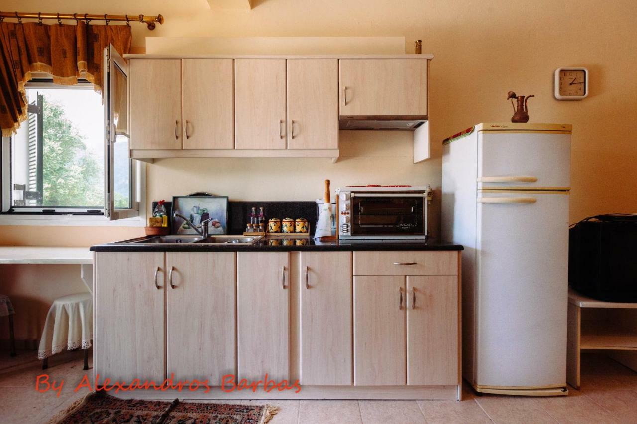 Bourikos House Corfu Apartman Áno Korakiána Kültér fotó